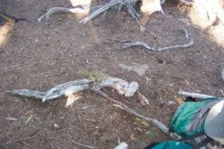 Sierra Designs -Sierra Designs Isle Royale 2007 325